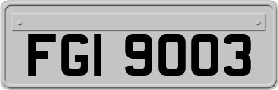 FGI9003