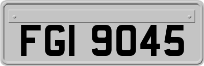 FGI9045