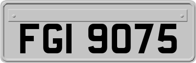 FGI9075