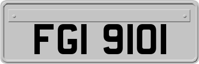 FGI9101