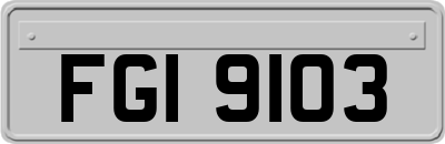 FGI9103