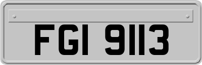 FGI9113