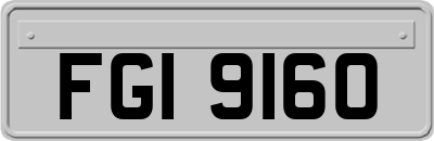 FGI9160