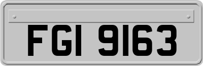 FGI9163