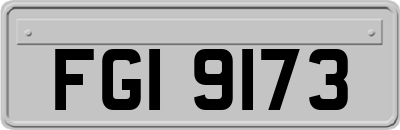 FGI9173
