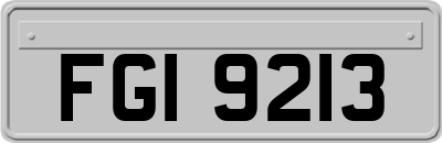 FGI9213