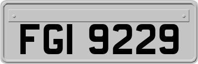 FGI9229
