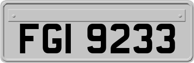 FGI9233