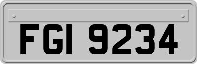 FGI9234