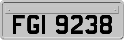 FGI9238