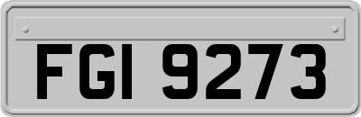 FGI9273