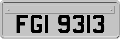 FGI9313