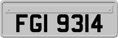 FGI9314