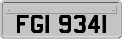 FGI9341