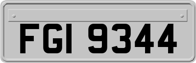 FGI9344