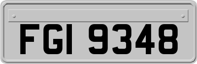 FGI9348