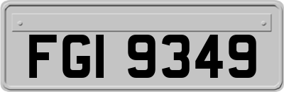 FGI9349