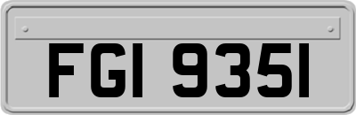 FGI9351