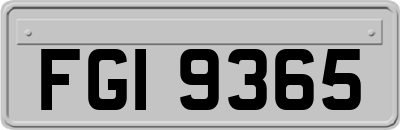 FGI9365