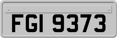 FGI9373