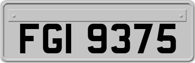 FGI9375