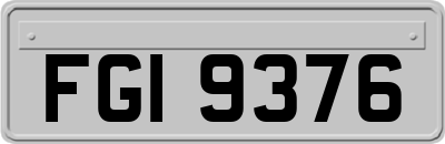 FGI9376