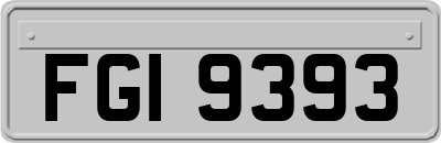 FGI9393