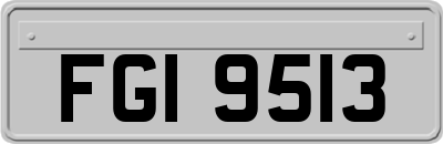 FGI9513