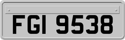 FGI9538