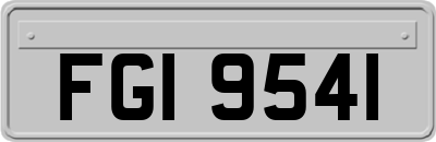 FGI9541