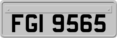 FGI9565