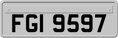 FGI9597