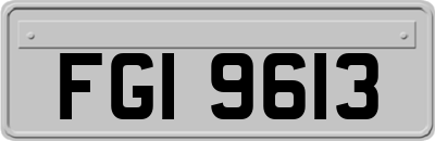 FGI9613