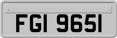 FGI9651