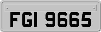 FGI9665