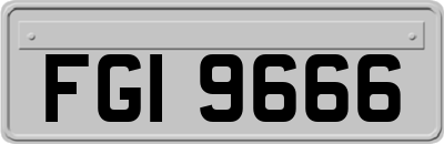 FGI9666