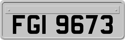 FGI9673