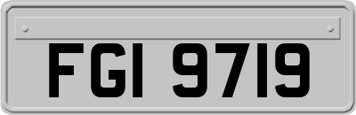 FGI9719