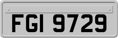 FGI9729