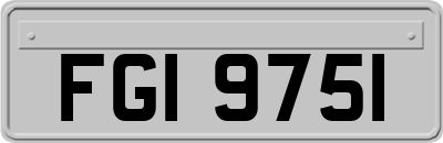 FGI9751
