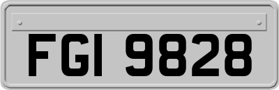 FGI9828
