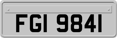 FGI9841