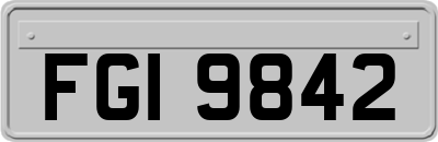 FGI9842