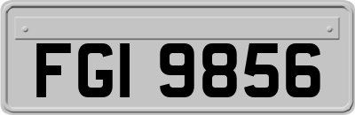 FGI9856