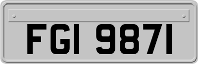 FGI9871