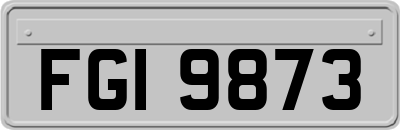 FGI9873