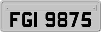 FGI9875