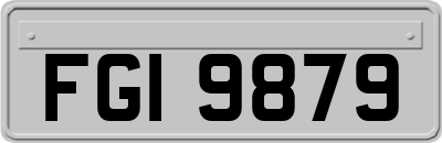 FGI9879