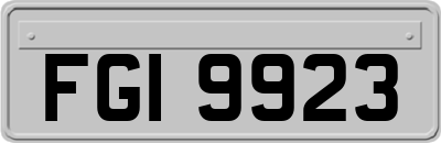 FGI9923