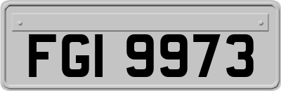 FGI9973